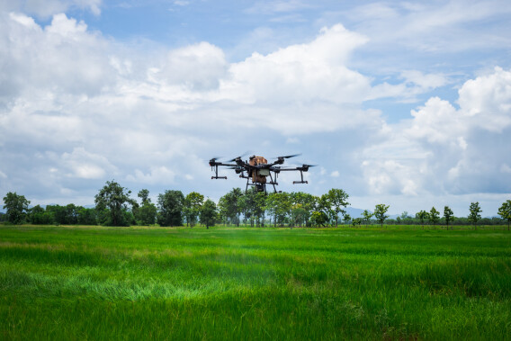 Modern technologies in agriculture. An industrial drone flies over a green field