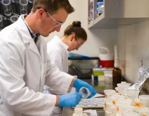 Laboratory technicians preparing and handling samples at a workbench in a lab.
