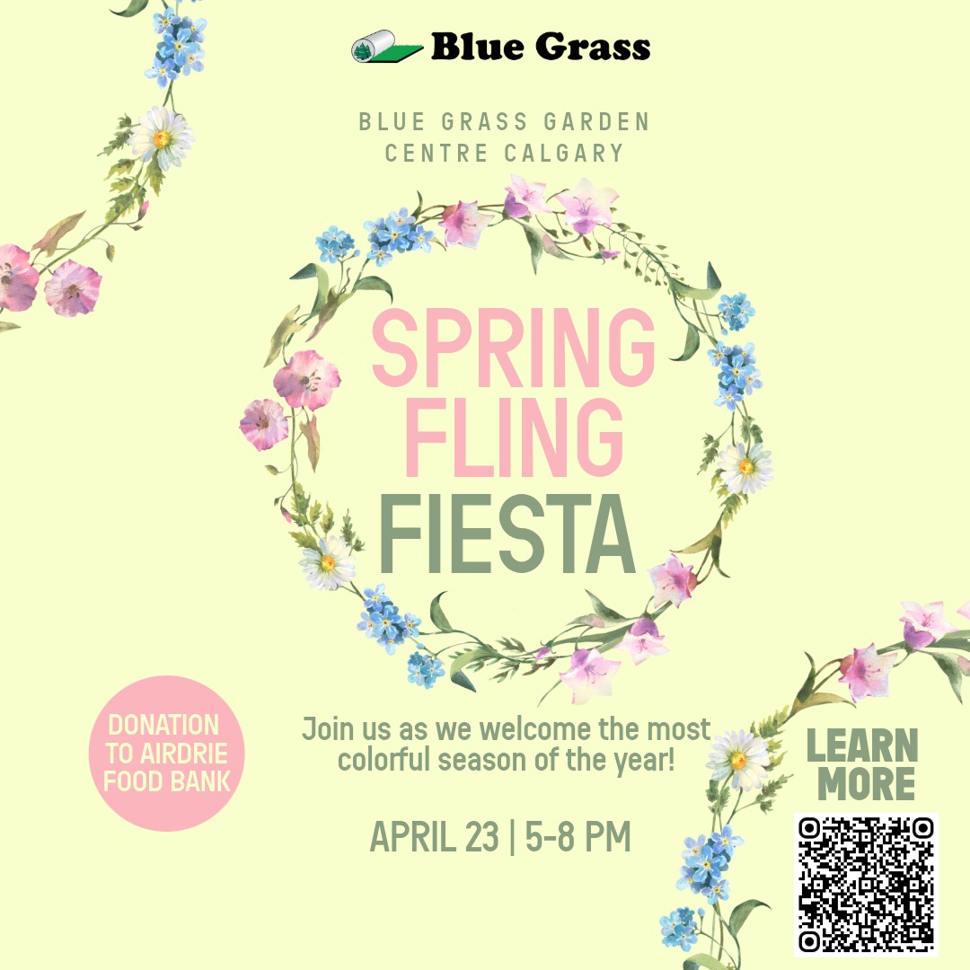 Spring Fling Fiesta 2026 SM Post